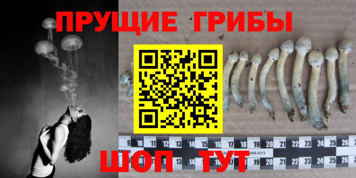Галлюциногенные грибы прущие грибы  Вход с VPN  Волгоград  Псилоцибиновые грибы MAGIC MUSHROOMS 